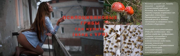 бошки Новокубанск