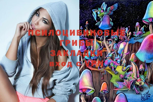 синтетический гашиш Новодвинск