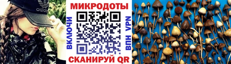 ссылка на мегу сайт Корсаков Галлюциногенные грибы ЛСД