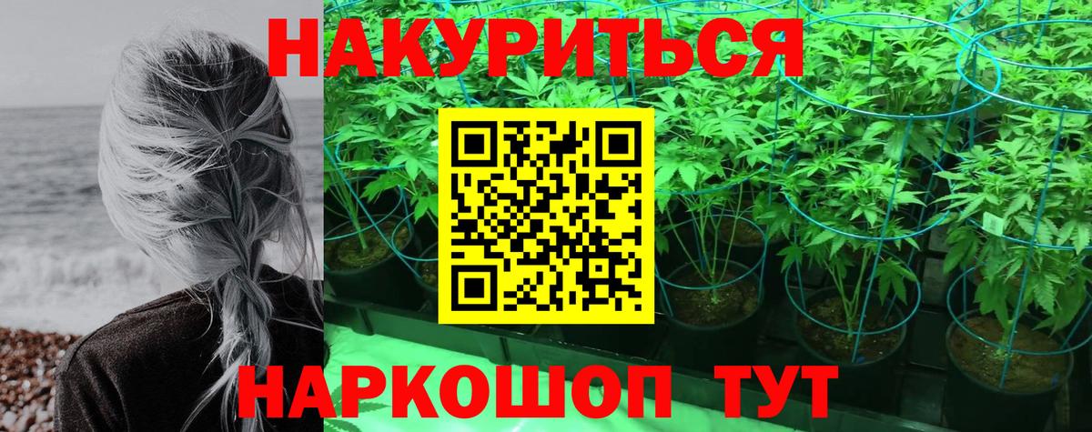 Бошки марихуана планчик Корсаков